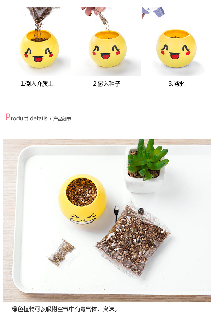 Toothed Burclover Doll Long Creative Cool Expression Desktop Small Plant Bonsai (Plastic Basin) Decoration Gifts Toy Toothed Burclover Doll Long Creative Cool Expression Desktop Small Plant Bonsai (Plastic Basin) Decoration Gifts Toy