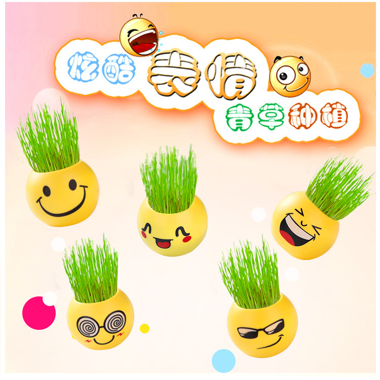 Toothed Burclover Doll Long Creative Cool Expression Desktop Small Plant Bonsai (Plastic Basin) Decoration Gifts Toy Toothed Burclover Doll Long Creative Cool Expression Desktop Small Plant Bonsai (Plastic Basin) Decoration Gifts Toy