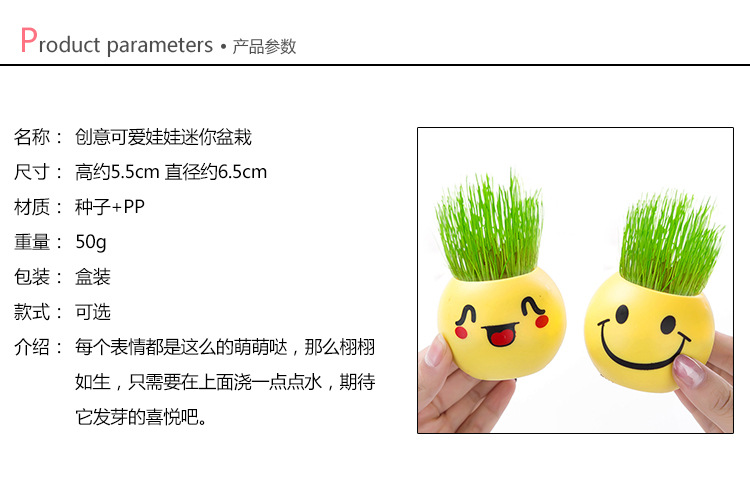 Toothed Burclover Doll Long Creative Cool Expression Desktop Small Plant Bonsai (Plastic Basin) Decoration Gifts Toy Toothed Burclover Doll Long Creative Cool Expression Desktop Small Plant Bonsai (Plastic Basin) Decoration Gifts Toy