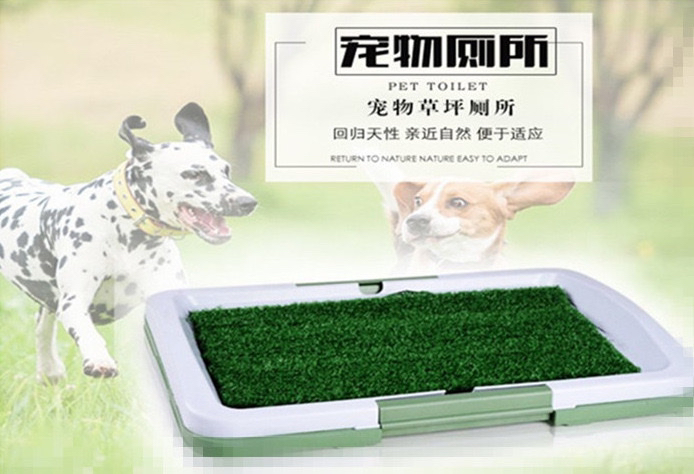 Potty Trainer Pet Toilet Three-Layer Lawn Toilet Indoor Pet Cushion Toilet Factory Direct Sales